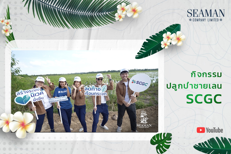 กิจกรรมปลูกป่าชายเลน SCGC – บริษัท ซีแมน จํากัด